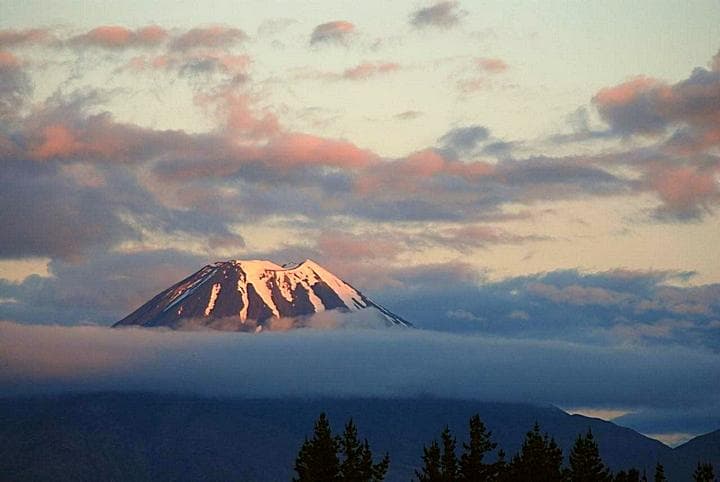 Tongariro N.P.